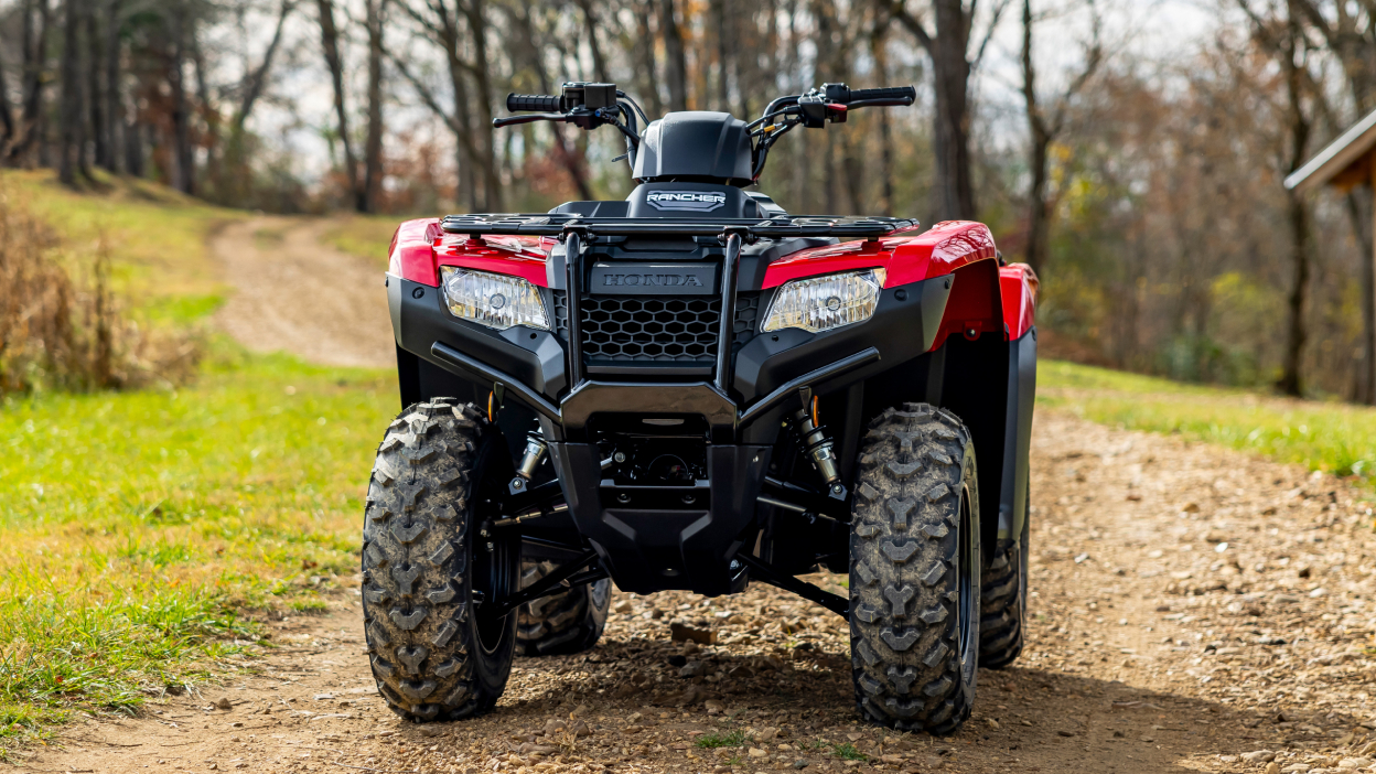 Front-facing rancher on dirt road. Forest background.