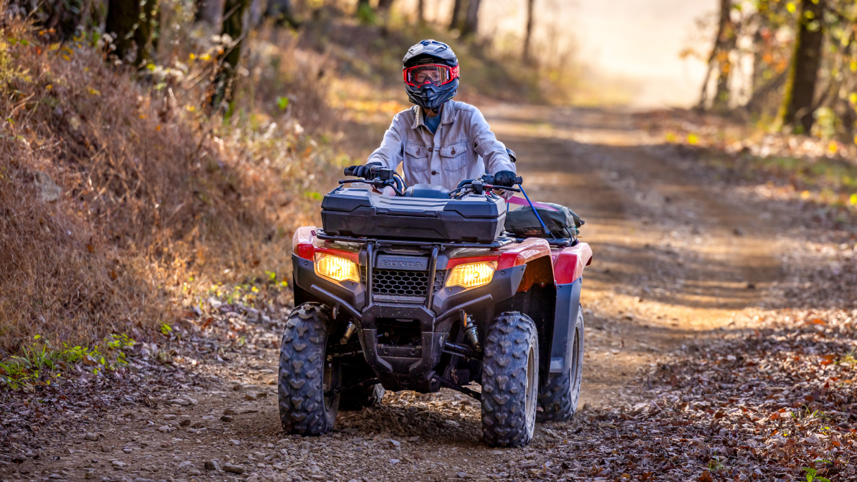 " Face avant du conducteur dans une forêt sur un chemin de terre. Vengeur Rouge."