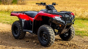 Image à angle droit d'un éleveur dans un champ.