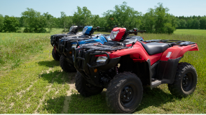 A line up of Honda Rubicons parked diagonally 