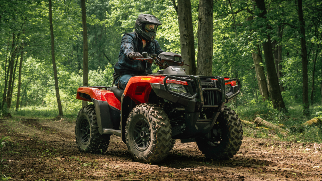 Person on Rubicon in forest going right.