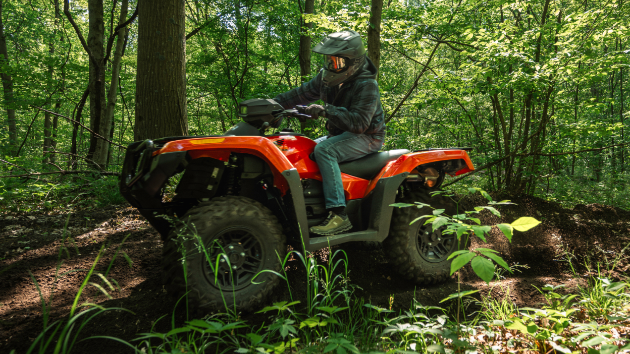 Person on Rubicon in forest going left.