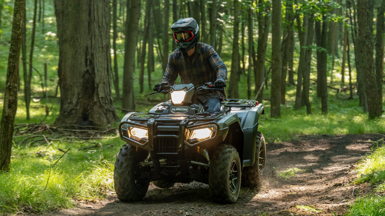 Front view of rider on Rubicon in woods.
