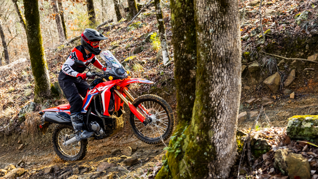 A rider on a Honda Dual Sport dirt bike riding on a rugged trail in the fall