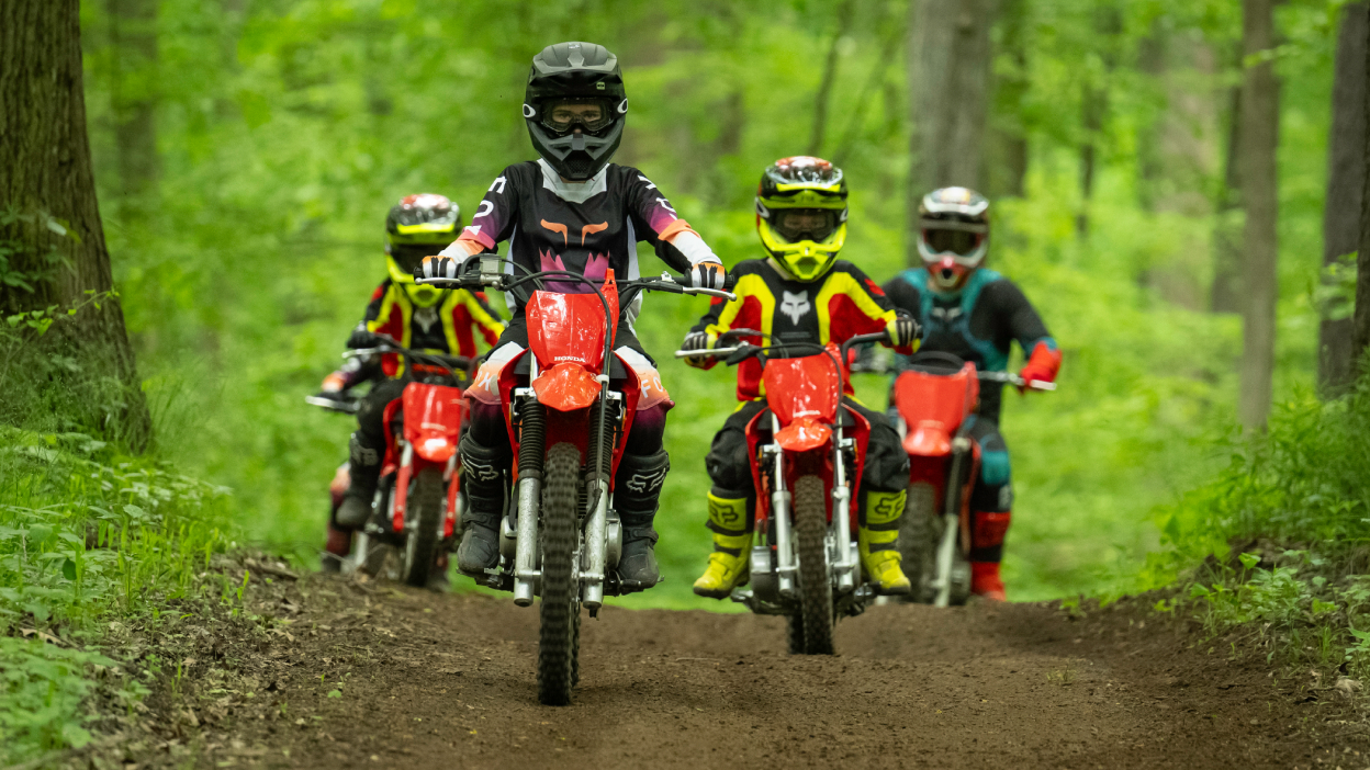 Un cavalier adulte devant deux jeunes cavaliers et un adulte en retrait. Paysage forestier.