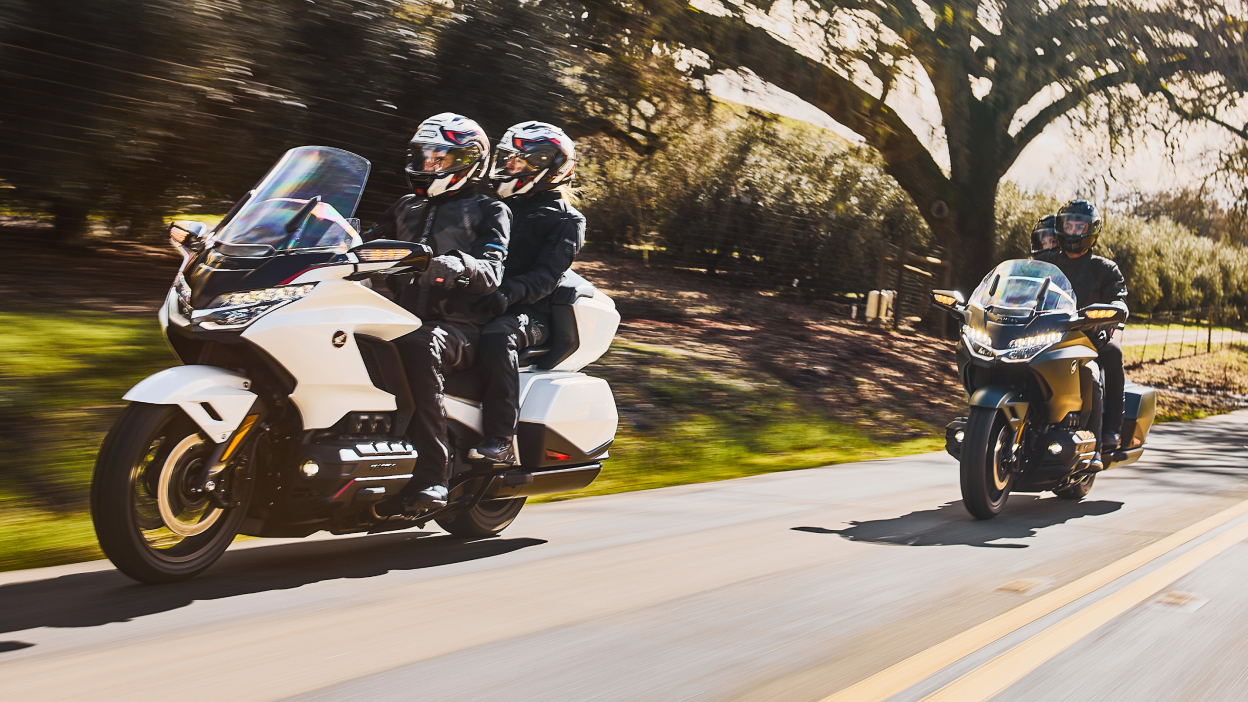 Deux coureurs sur vélo blanc devant deux coureurs sur vélo vert sur route. Arbres et buissons en arrière-plan.
