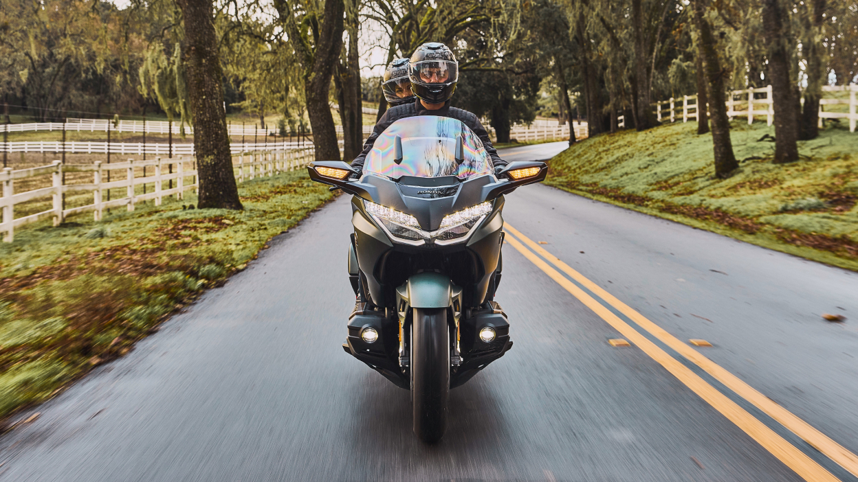 Deux coureurs sur un vélo vert, face à l'avant, allant tout droit sur la route. Grands arbres, clôture en arrière-plan.