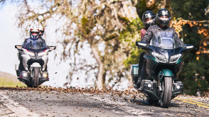 Two riders on green bike in front of two riders on white bike on a leafy road. Tree and bush in background on the right.