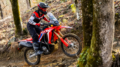 Un cavalier sur un sentier dans les bois.