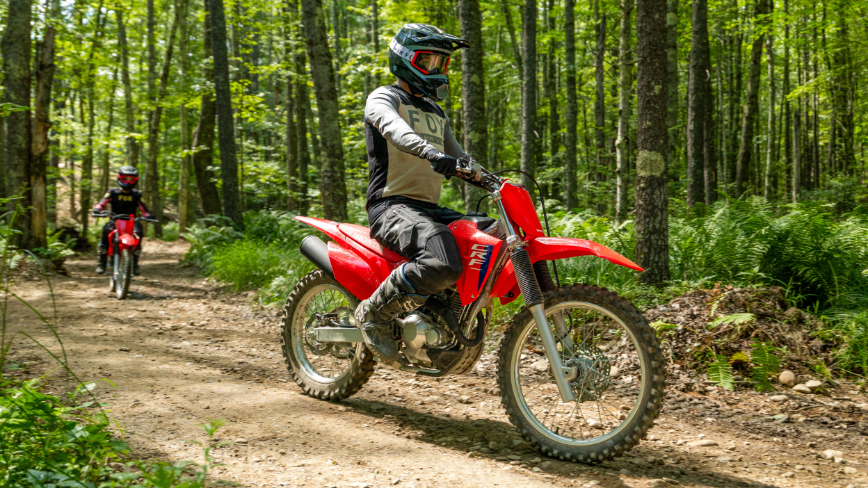 Two riders going right on trail. Forest landscape in background.