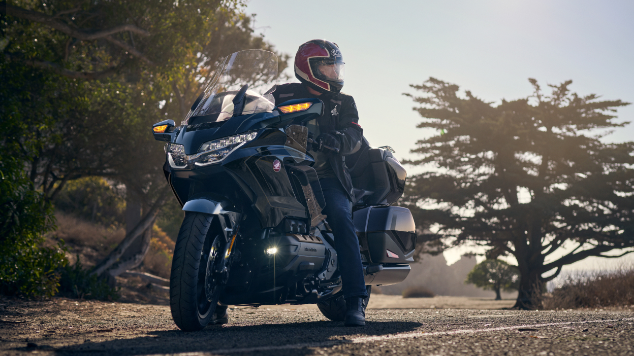 Rider on Gold Wing stationary on road, right facing. Trees in background.
