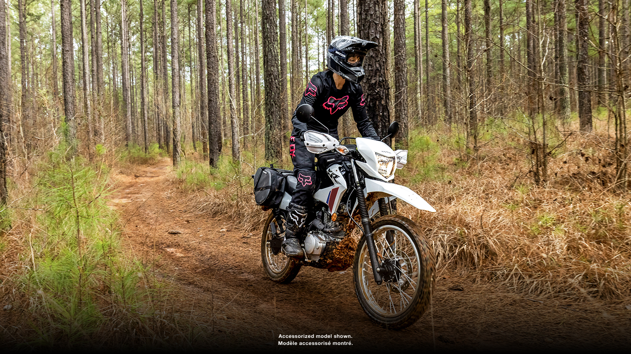 Pilote sur une CRF450L sur un chemin de terre. Buissons verts en arrière-plan.