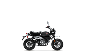 Right side image of Monkey.