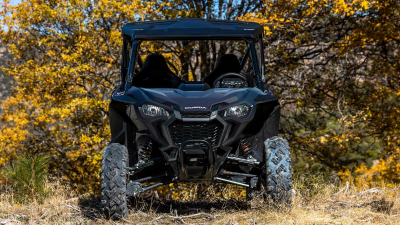 Front facing image of Talon in grass landscape. Mix of green and yellow trees and bushes in background.